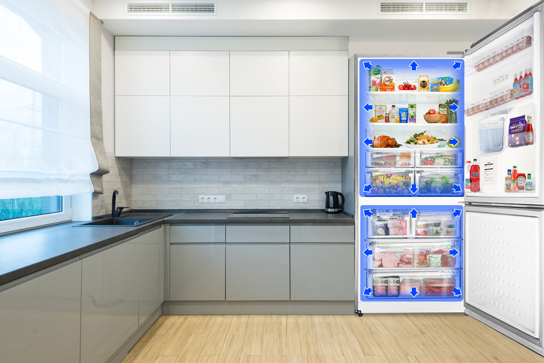 bottom freezer refrigerator capacity
