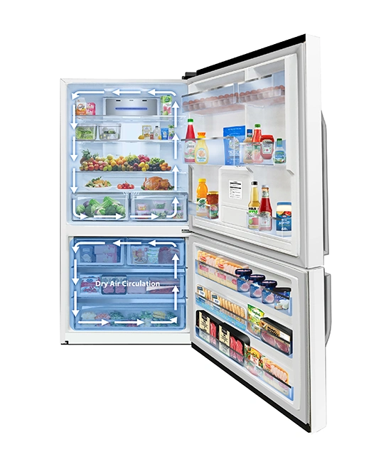 Suzuki bottom freezer refrigerator Dual air circulation feature