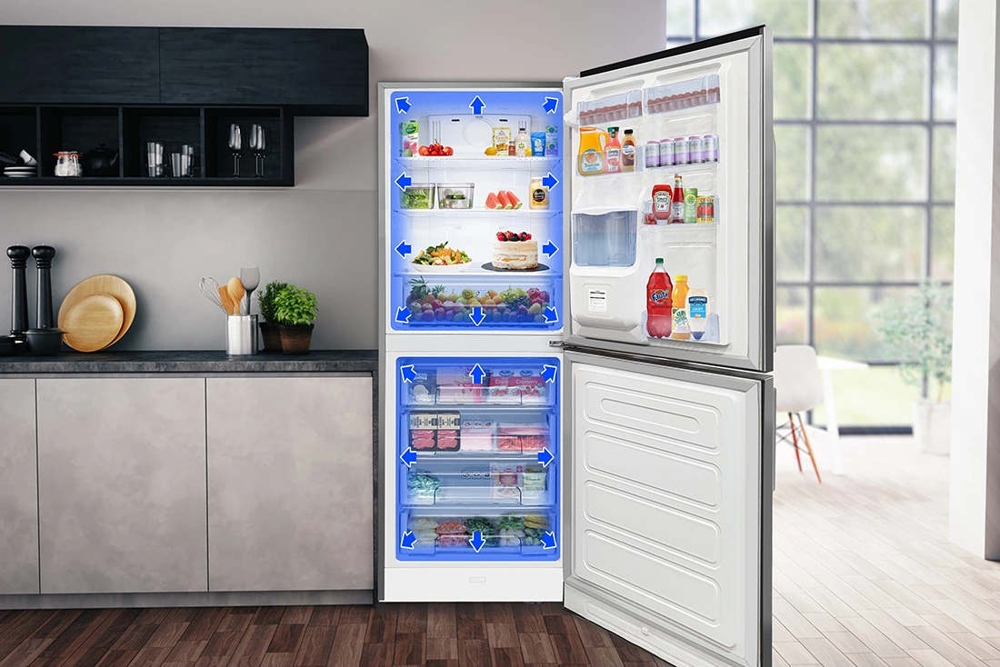 Suzuki bottom freezer refrigerator capacity