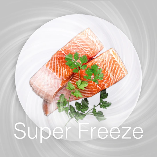 Suzuki refrigerator super freeze feature