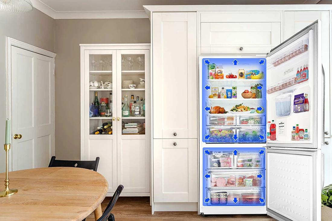 Suzuki bottom freezer refrigerator capacity
